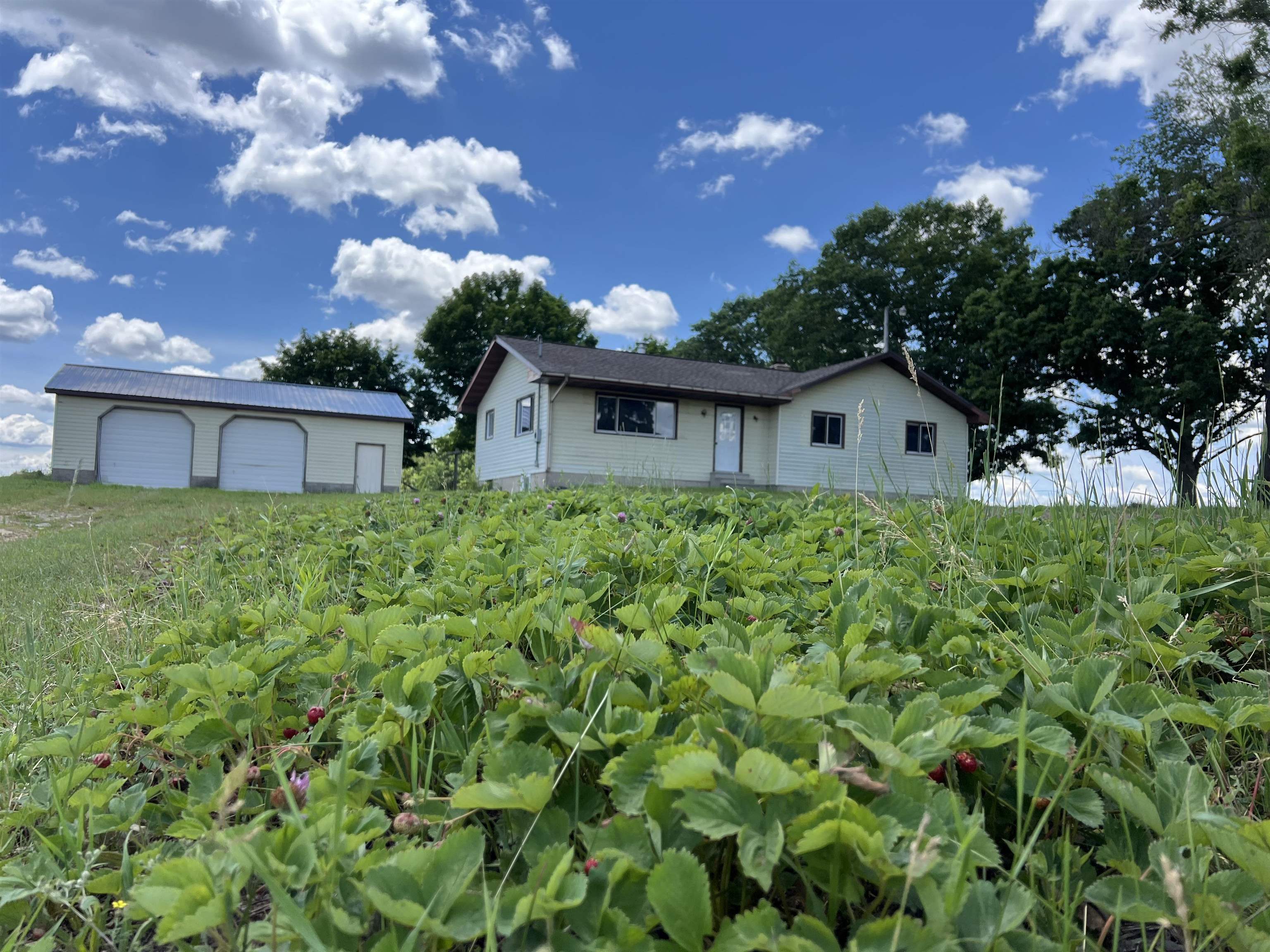 11499 West Fremont Road Blanchard, MI 49310 - Photo 1 of 18