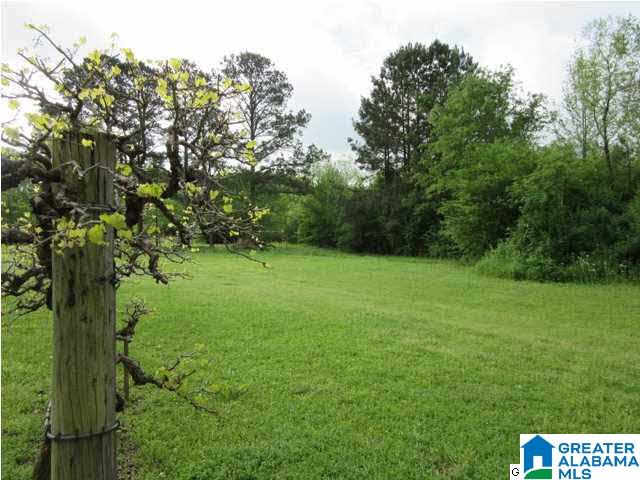 1872 County Road 53 Clanton, AL 35045 - Photo 23 of 31