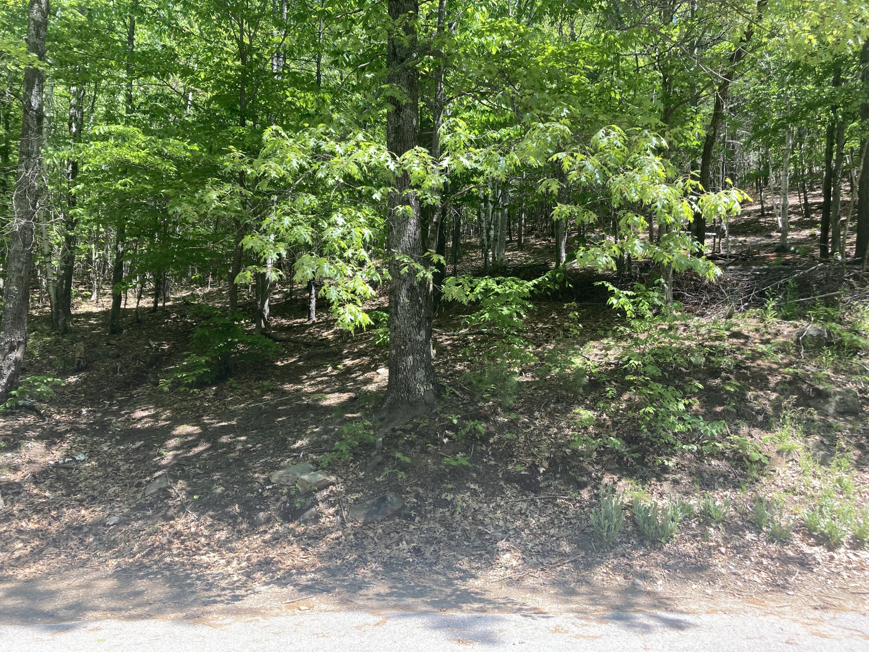 431 Middle Road Waterboro, ME 04087 - Photo 20 of 24 4EA01E2A-F1B4-48BA-8AC8-0A5A0647A32B