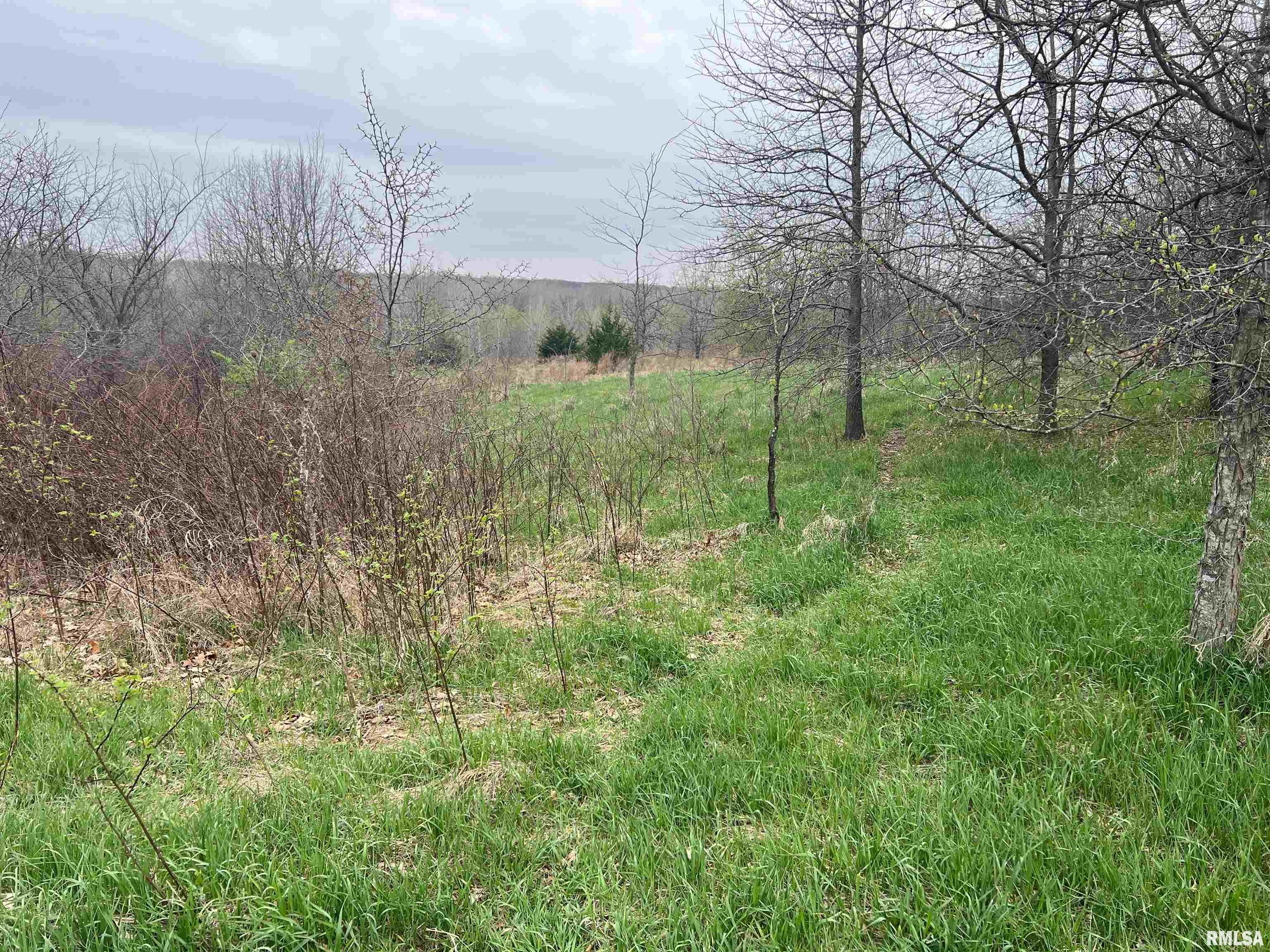 Rr Flower Creek Road Plymouth, IL 62367 - Photo 19 of 30