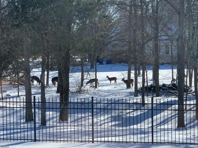 $1,900,000 | 181 Berkley Avenue, Belle Mead, NJ 08502