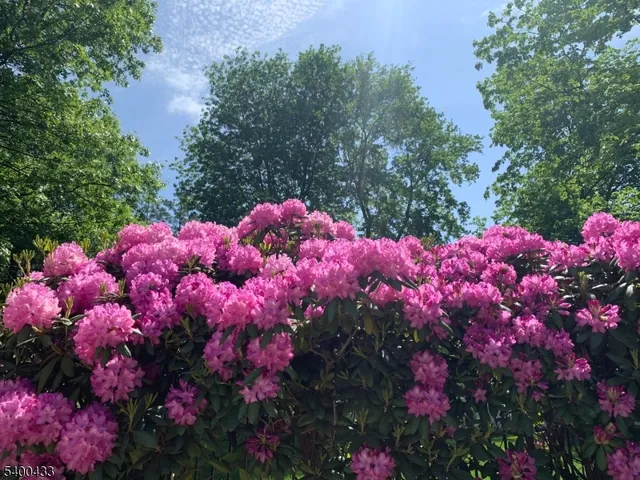 $1,900,000 | 181 Berkley Avenue, Belle Mead, NJ 08502