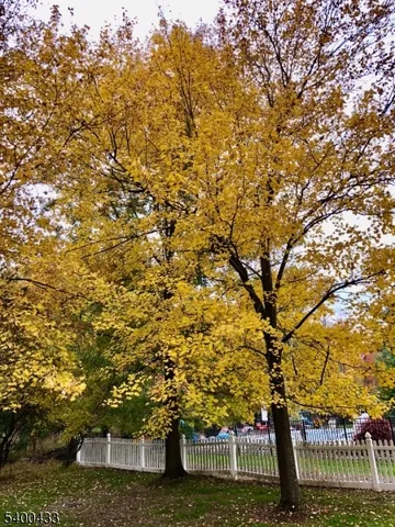 $1,900,000 | 181 Berkley Avenue, Belle Mead, NJ 08502