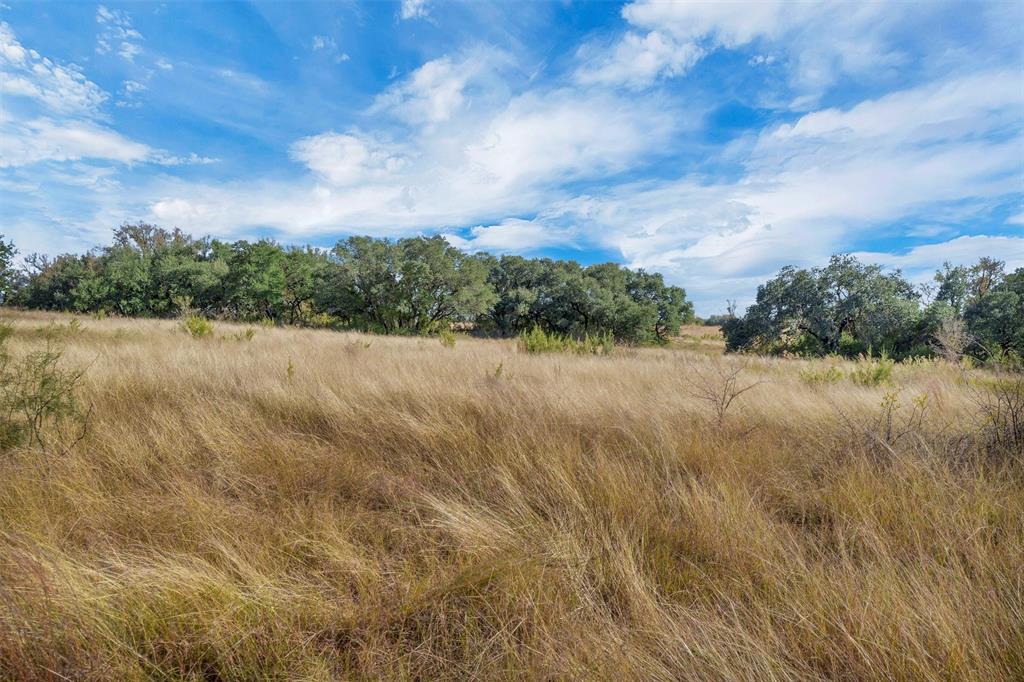2414 Campbell Road Tolar, TX 76476 - Photo 16 of 31 a view of lake and mountain