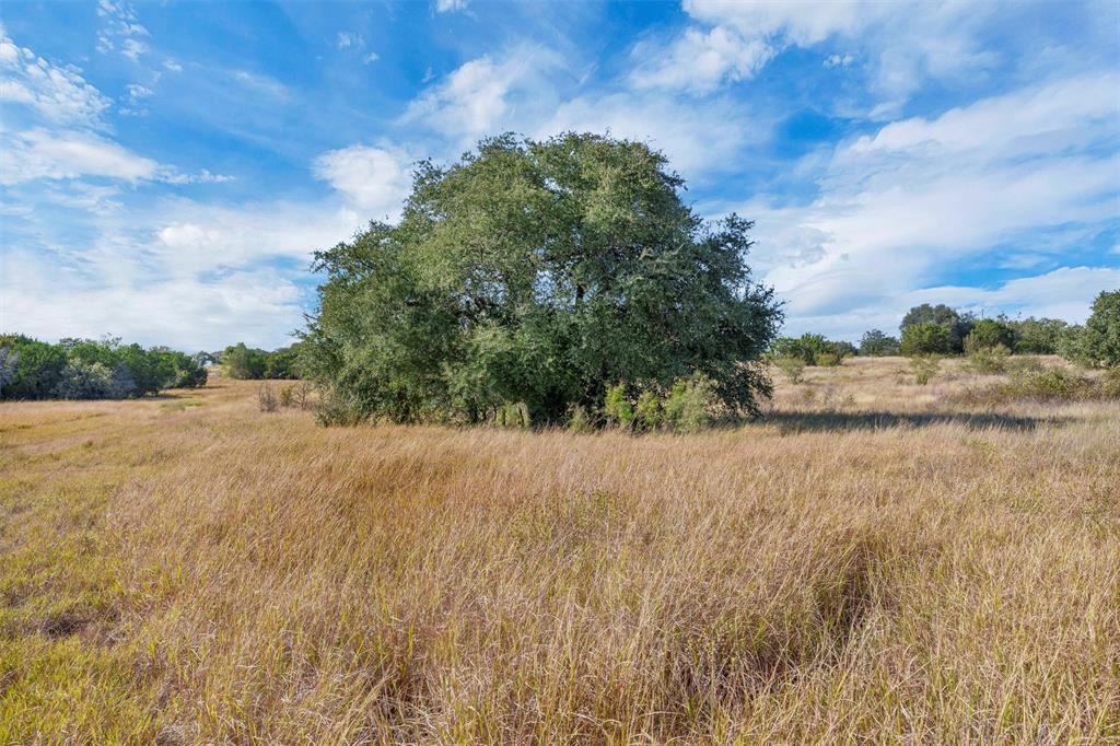2414 Campbell Road Tolar, TX 76476 - Photo 4 of 31 a view of a dry yard with wooden fence