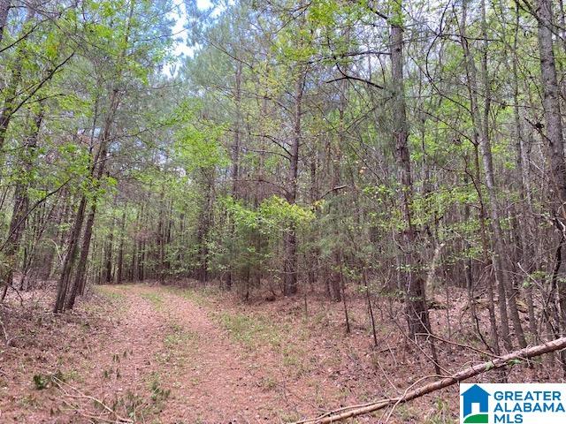 7550 Deer Haven Road, Unit 578 / AC Springville, AL 35146 - Photo 27 of 45 Gallery Image 27