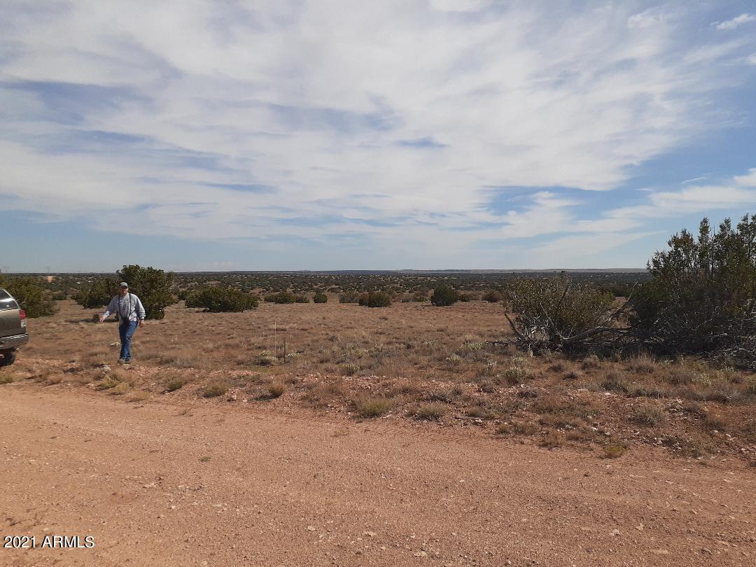 Lot 120 Chevelon Canyon Ranch Road, Unit 120 Overgaard, AZ 85933 - Photo 6 of 11 pp6