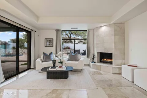 a living room with furniture potted plant and a fireplace