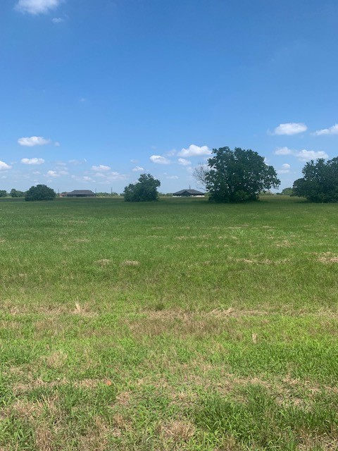 498 Brahman Trail Angleton, TX 77515 - Photo 3 of 11 a view of a lake from a yard