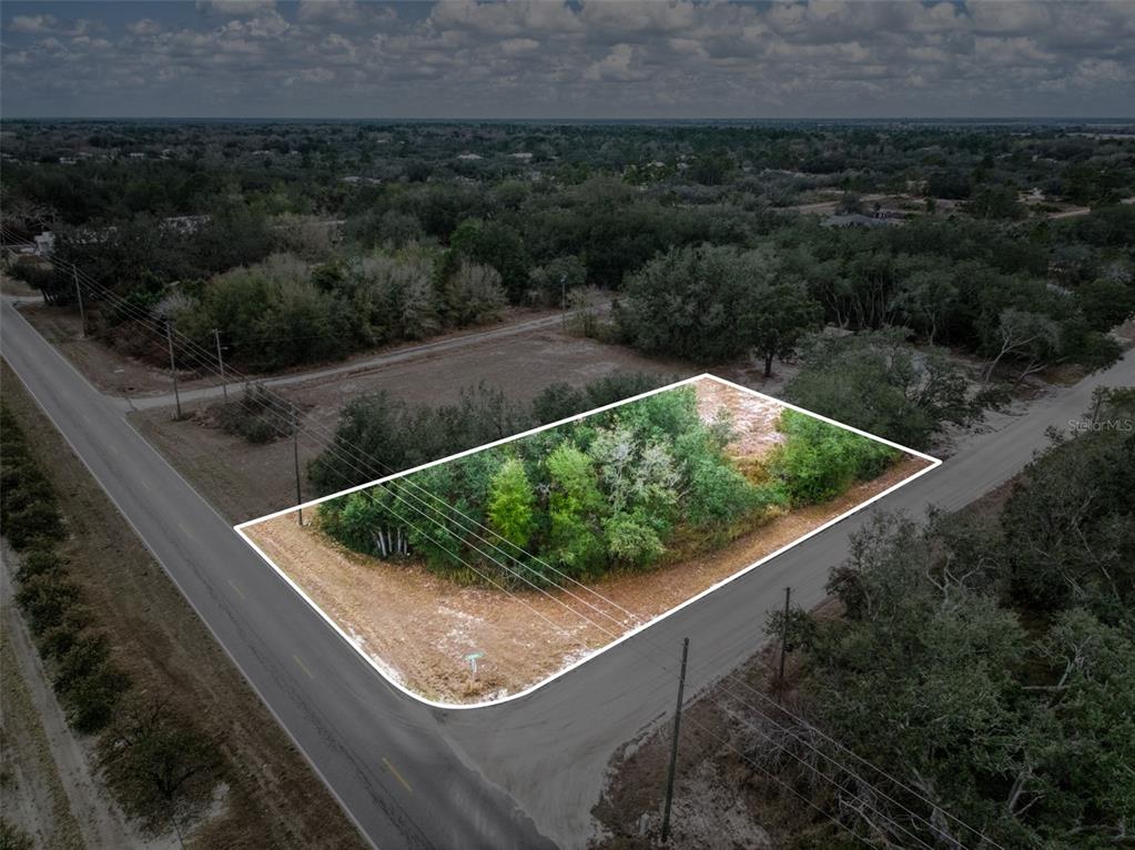 a view of a yard with potted plants