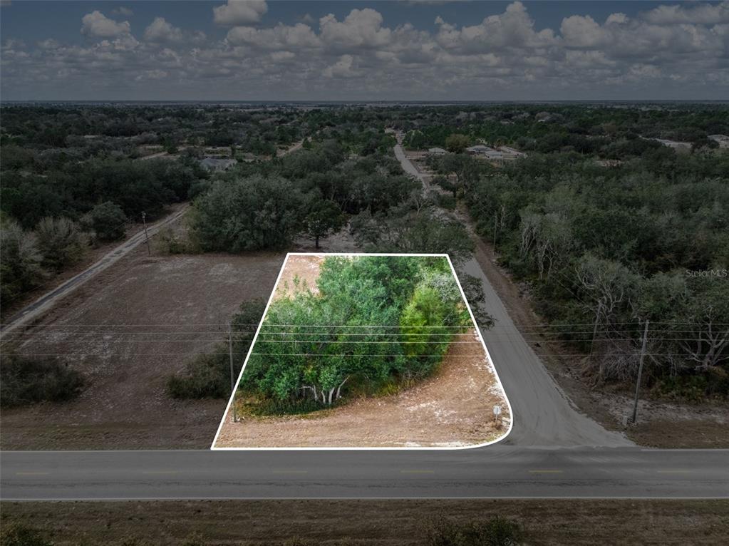 2713 West Hasbrouck Road Avon Park, FL 33825 - Photo 12 of 14 a view of a backyard