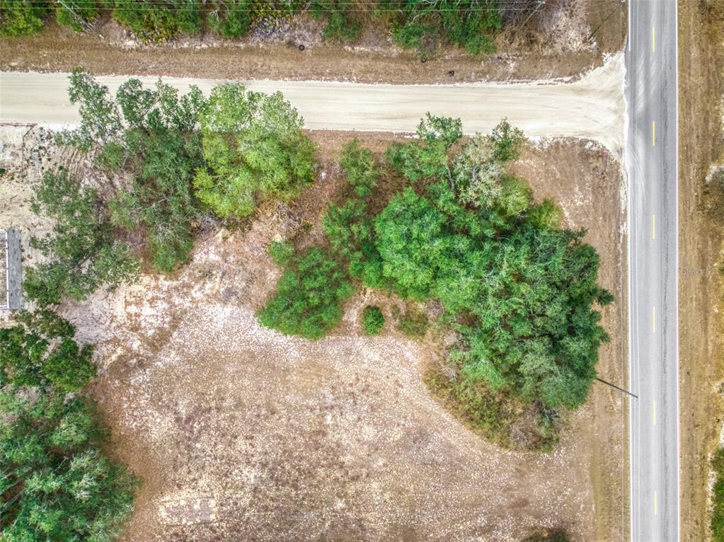 2713 West Hasbrouck Road Avon Park, FL 33825 - Photo 14 of 14 a view of a yard with plants