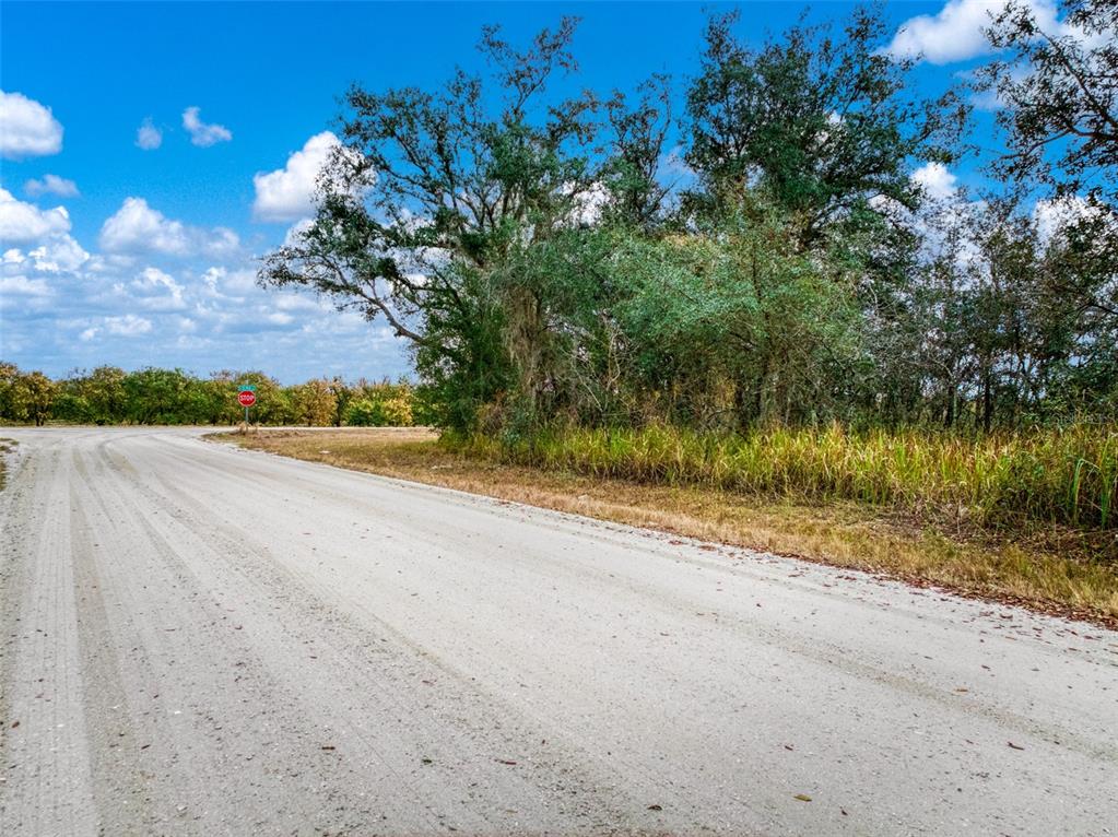 2713 West Hasbrouck Road Avon Park, FL 33825 - Photo 2 of 14 a view of a road with a yard