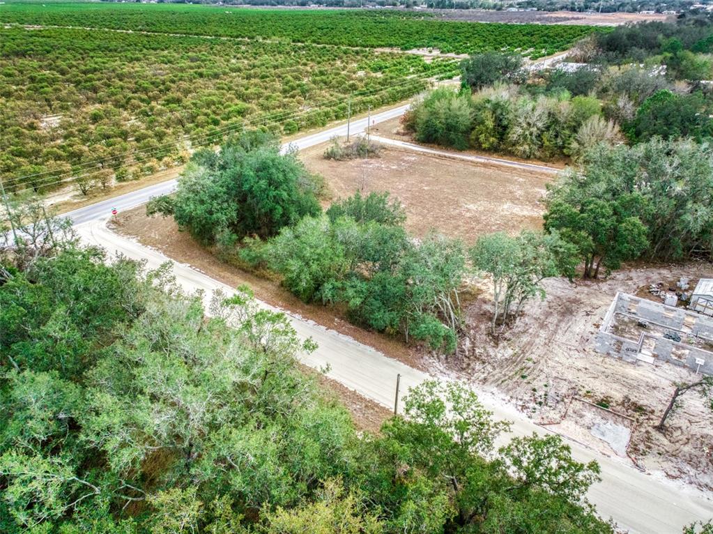 2713 West Hasbrouck Road Avon Park, FL 33825 - Photo 6 of 14 a view of a yard with plants and large trees