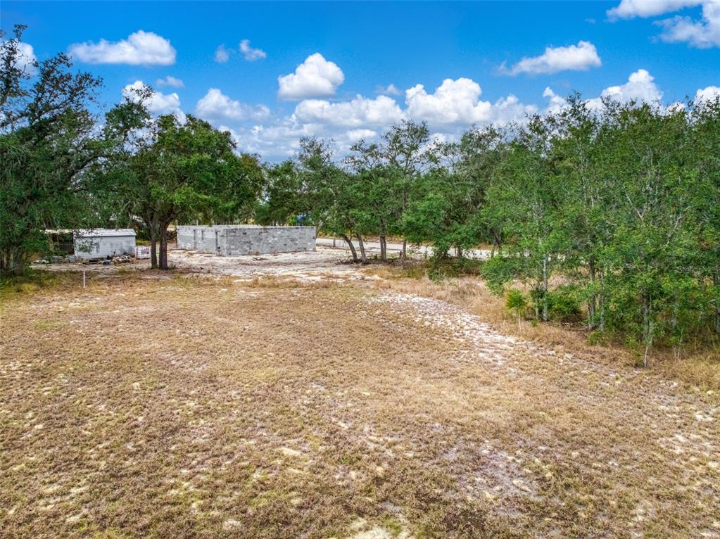 2713 West Hasbrouck Road Avon Park, FL 33825 - Photo 8 of 14 a view of a backyard of the house