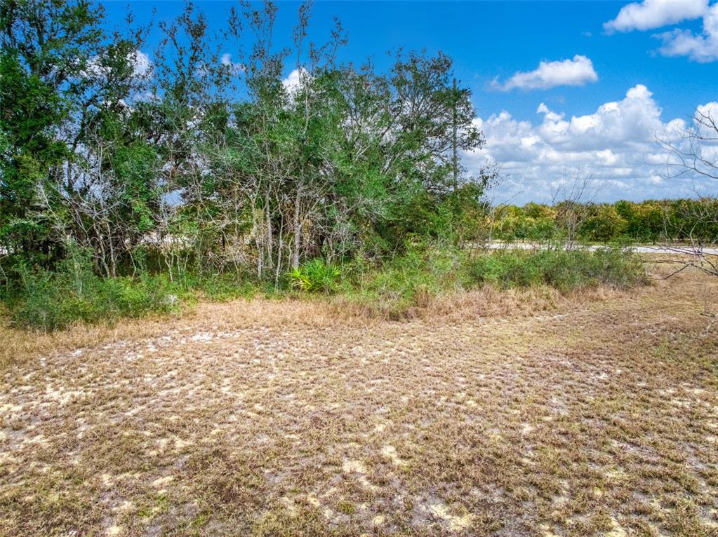 2713 West Hasbrouck Road Avon Park, FL 33825 - Photo 9 of 14 a view of a yard with a tree