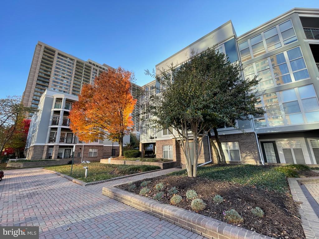 5563 Seminary Road, Unit 216 Falls Church, VA 22041 - Photo 39 of 44 Savoy Park looking toward 5563 Building