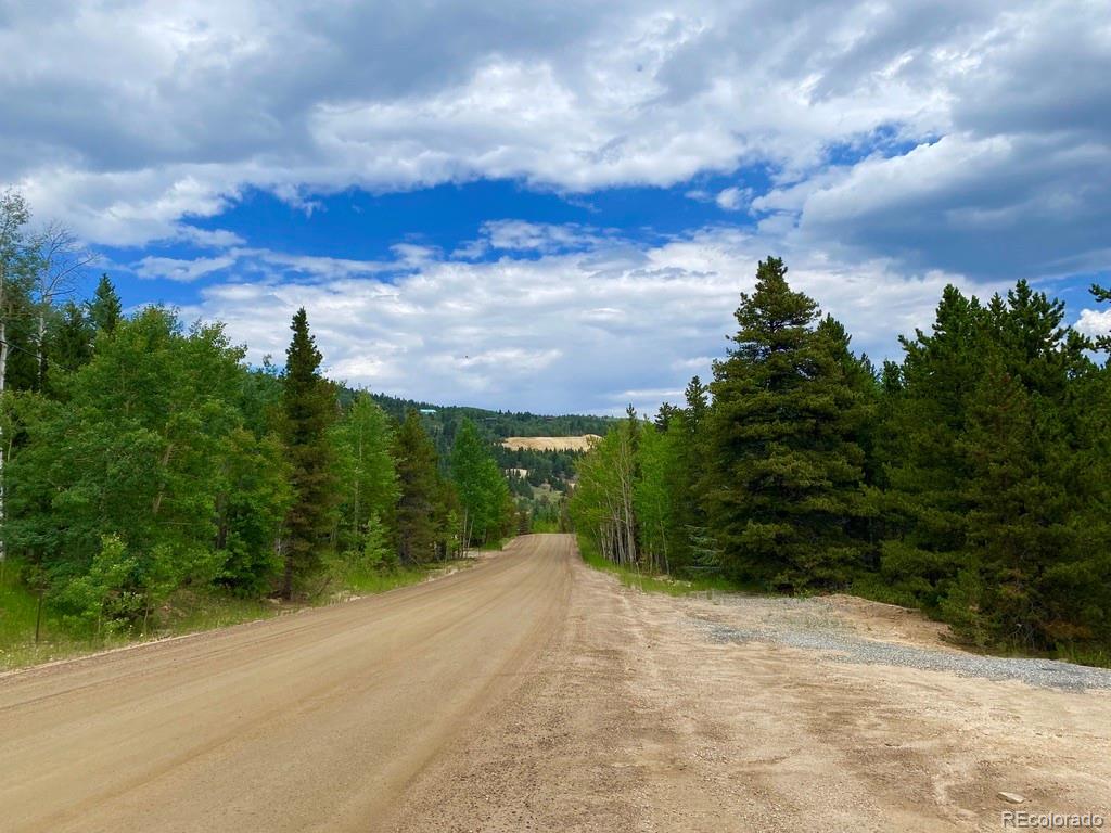 2 Virginia Canyon Road Central City, CO 80427 - Photo 6 of 12 a view of a road with a yard