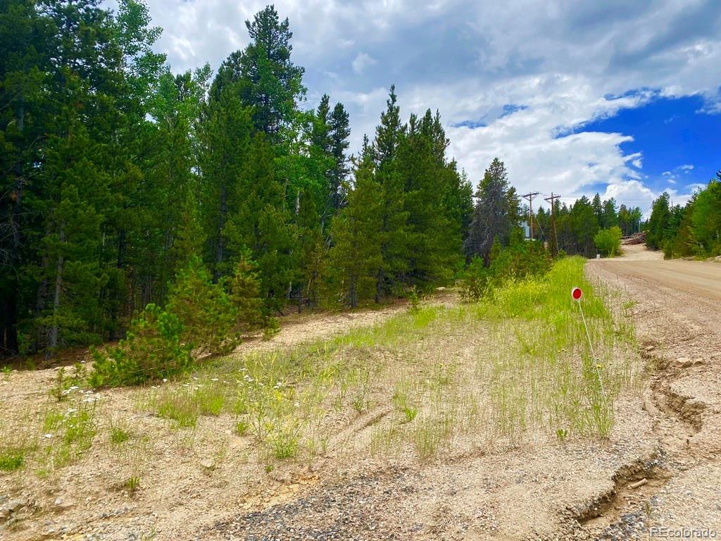 2 Virginia Canyon Road Central City, CO 80427 - Photo 7 of 12