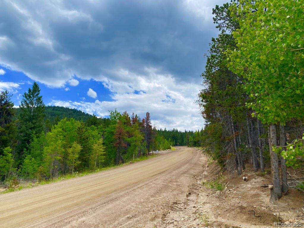 2 Virginia Canyon Road Central City, CO 80427 - Photo 9 of 12 a view of a street
