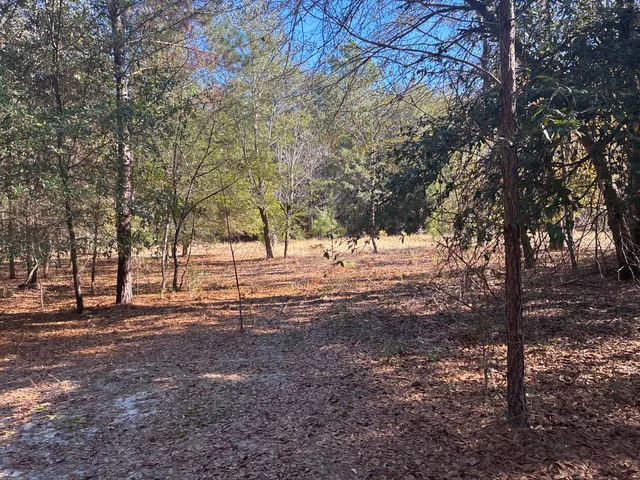 $180,000 | 0 Tyler Road, Norway, SC 29113