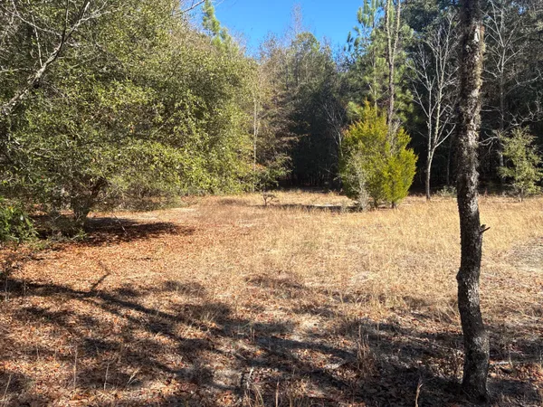 $170,000 | 0 Tyler Road, Norway, SC 29113