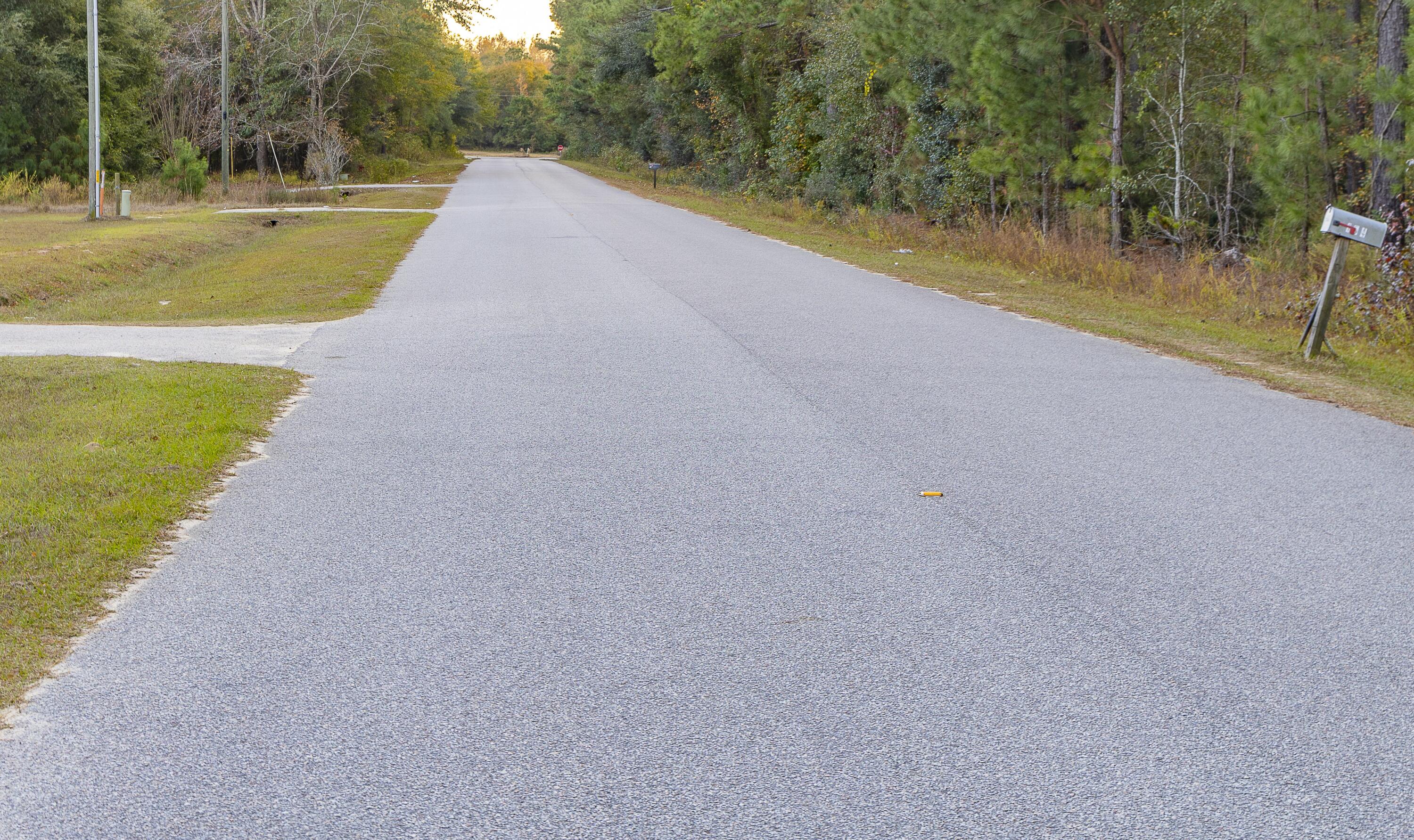 0 Tyler Road Norway, SC 29113 - Photo 2 of 15 Tyler Rd-37
