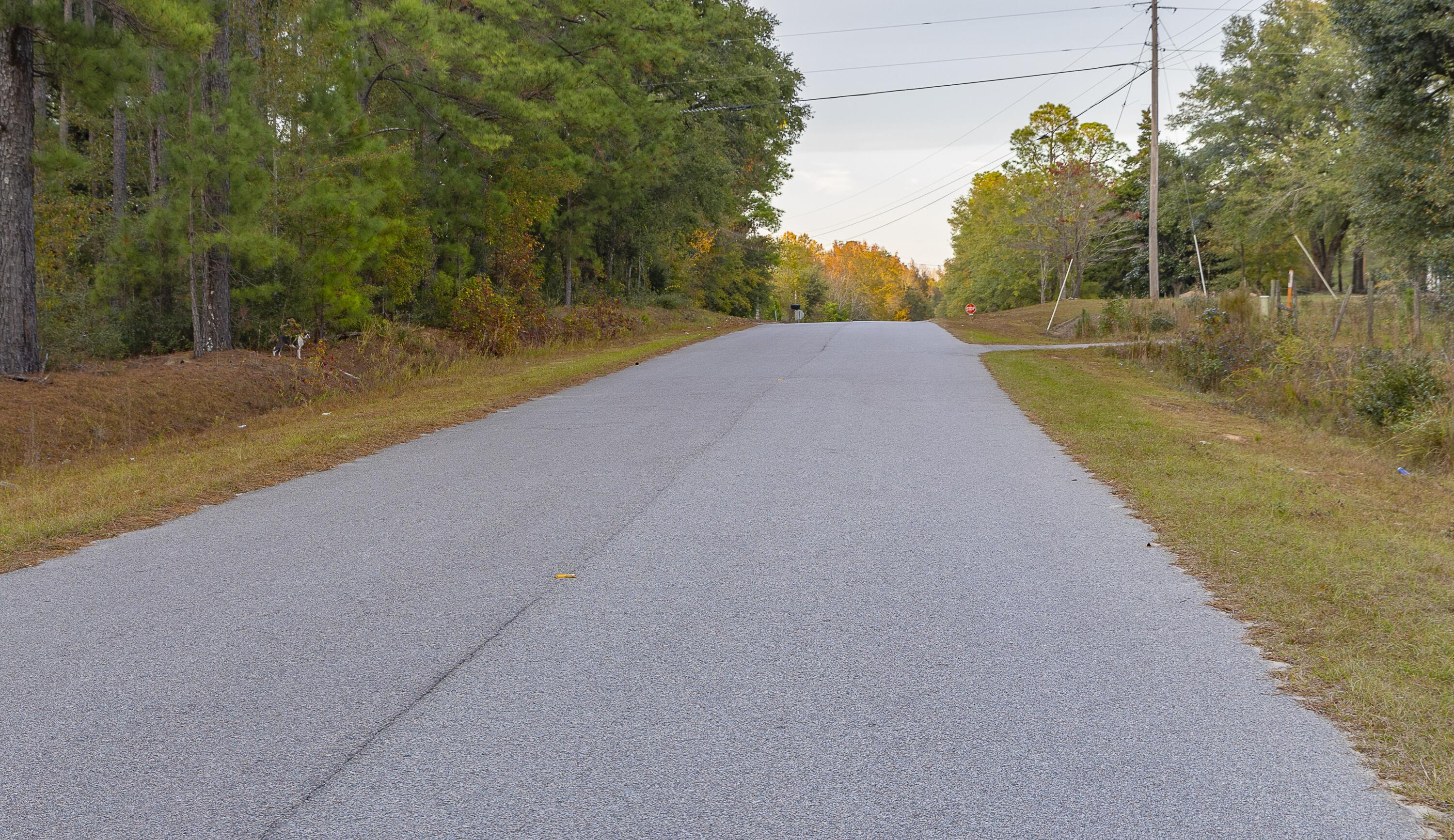 0 Tyler Road Norway, SC 29113 - Photo 3 of 15 Tyler Rd-38