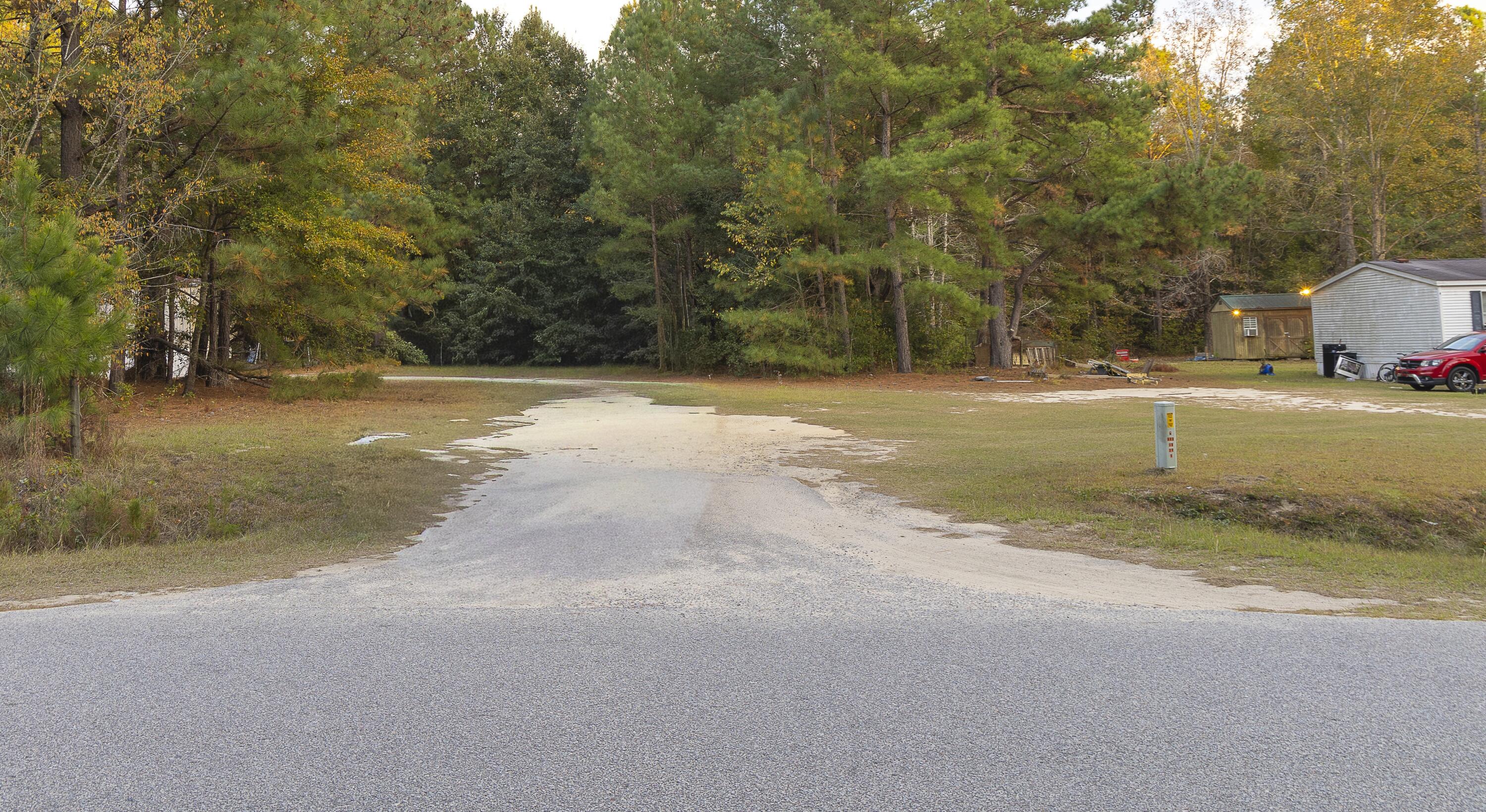0 Tyler Road Norway, SC 29113 - Photo 5 of 15 Tyler Rd-40