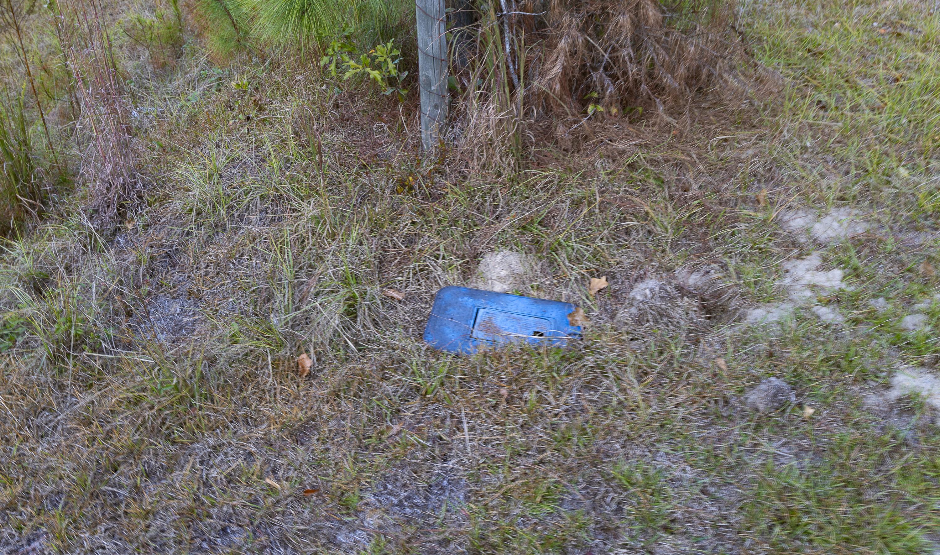 0 Tyler Road Norway, SC 29113 - Photo 6 of 15 Tyler Rd-36