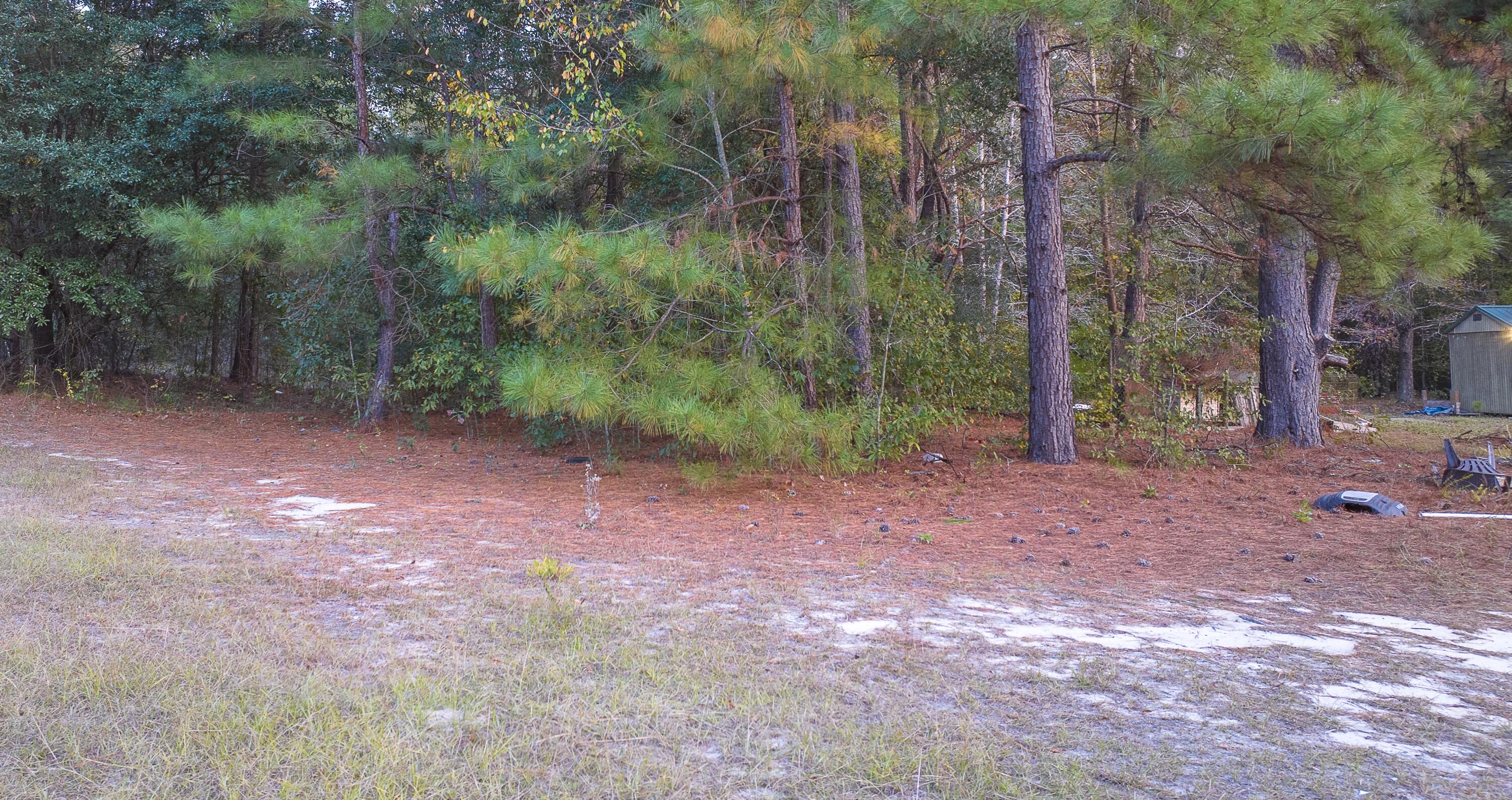 0 Tyler Road Norway, SC 29113 - Photo 7 of 15 Tyler Rd-35