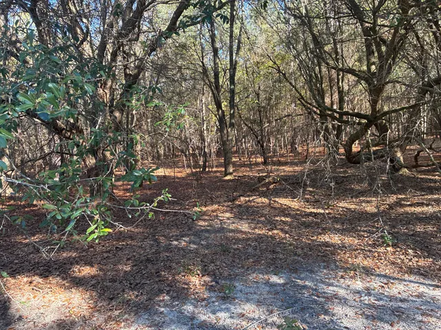 $180,000 | 0 Tyler Road, Norway, SC 29113