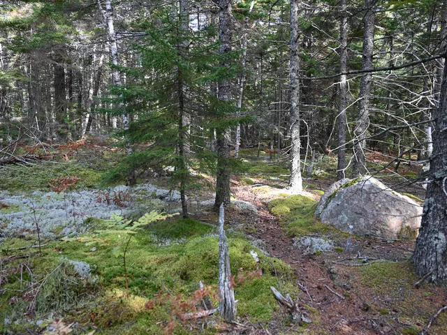 $199,000 | 0 Seawall Map/lot 17/11-01 Rd Harbor, Southwest Harbor, ME 04679