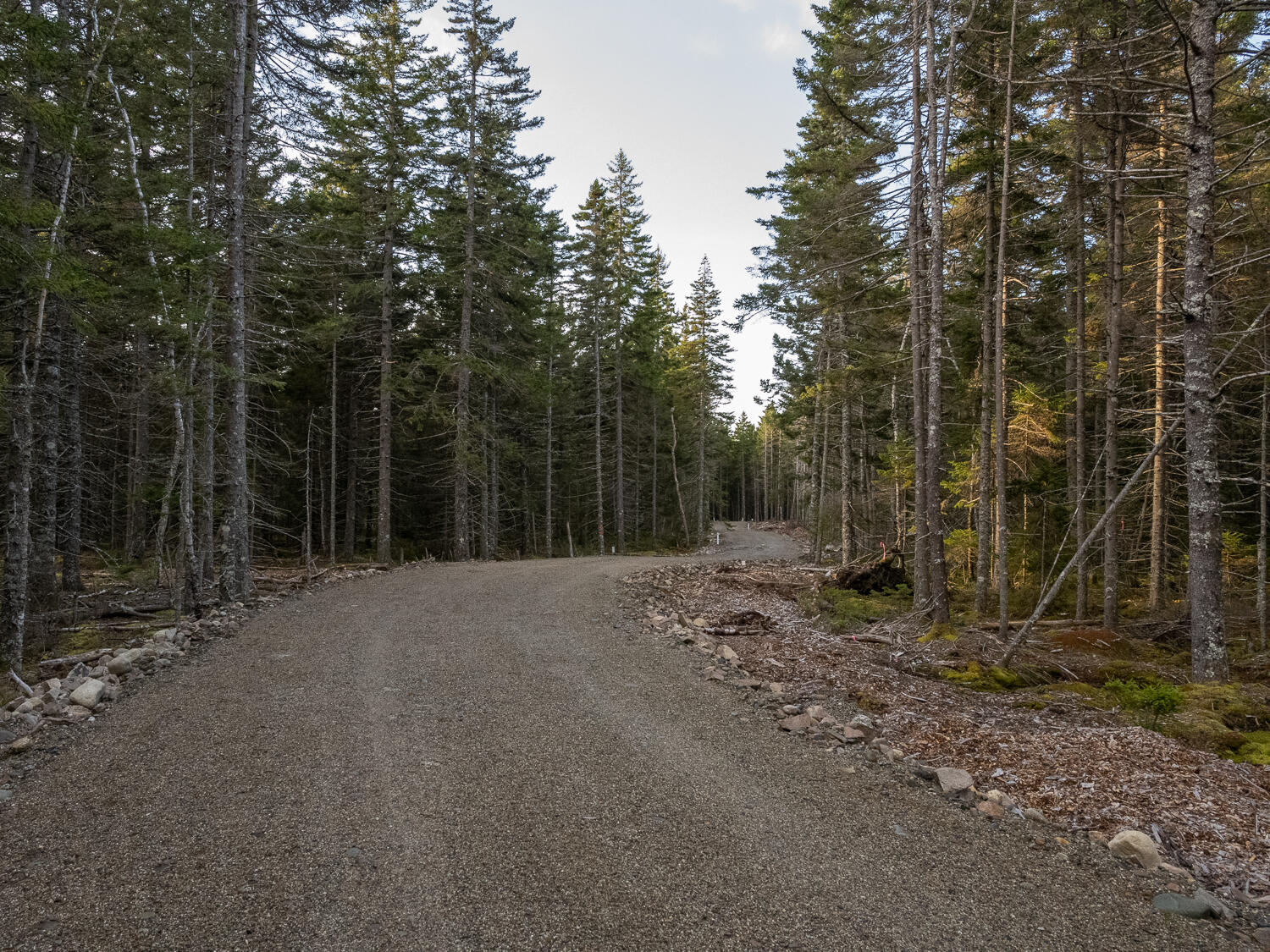 0 Seawall Map/lot 17/11-01 Rd Harbor Southwest Harbor, ME 04679 - Photo 3 of 18 Acadia Pines Road