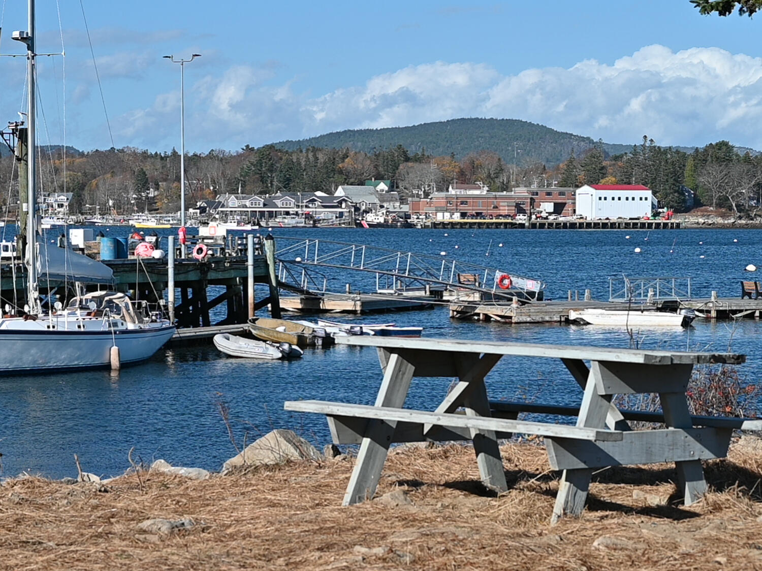 0 Seawall Map/lot 17/11-01 Rd Harbor Southwest Harbor, ME 04679 - Photo 6 of 18 Manset Waterfront