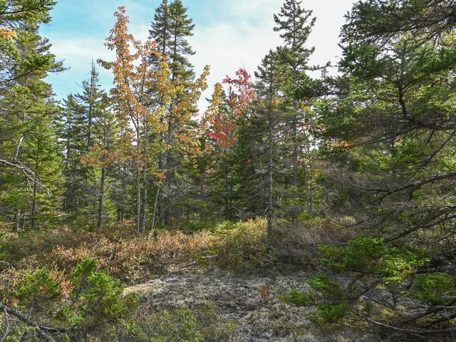 $199,000 | 0 Seawall Map/lot 17/11-01 Rd Harbor, Southwest Harbor, ME 04679