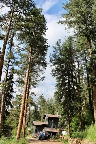a view of a yard in front of the house