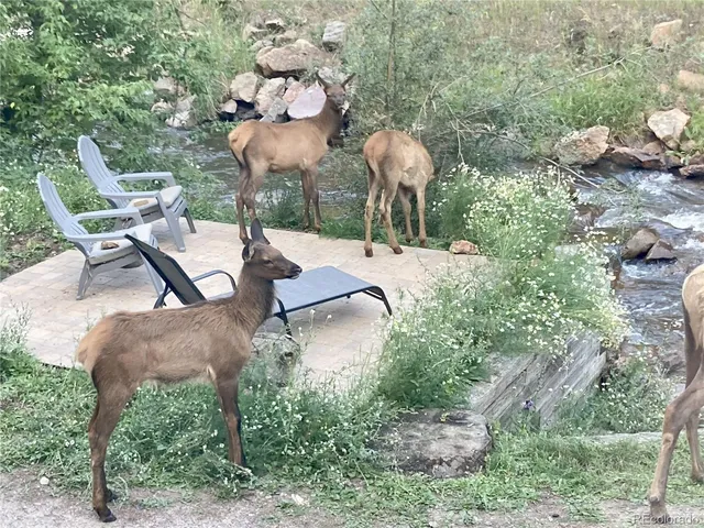 a backyard of a house with table and chairs