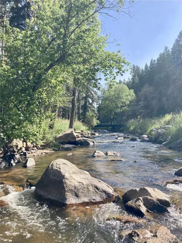 a view of backyard of house