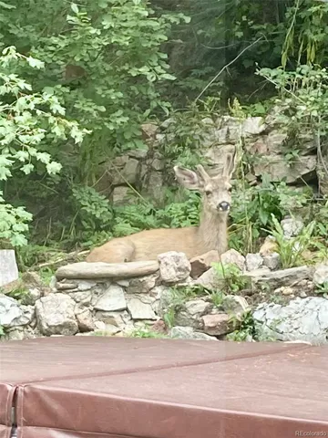 $685,000 | 27154 Highway 74, Evergreen, CO 80439