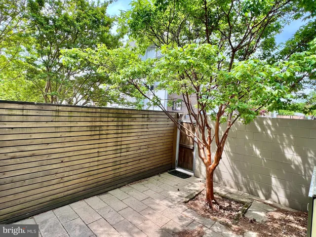 a view of a back yard of the house