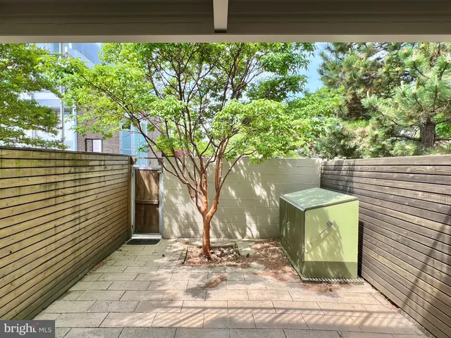 a view of a yard with plants and large trees