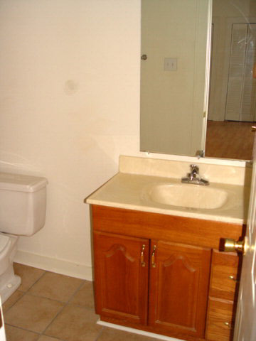 210 South Mobile Street, Unit 21 Fairhope, AL 36532 - Photo 16 of 18 Bathroom sink