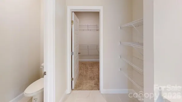 a bathroom with a shower and a toilet