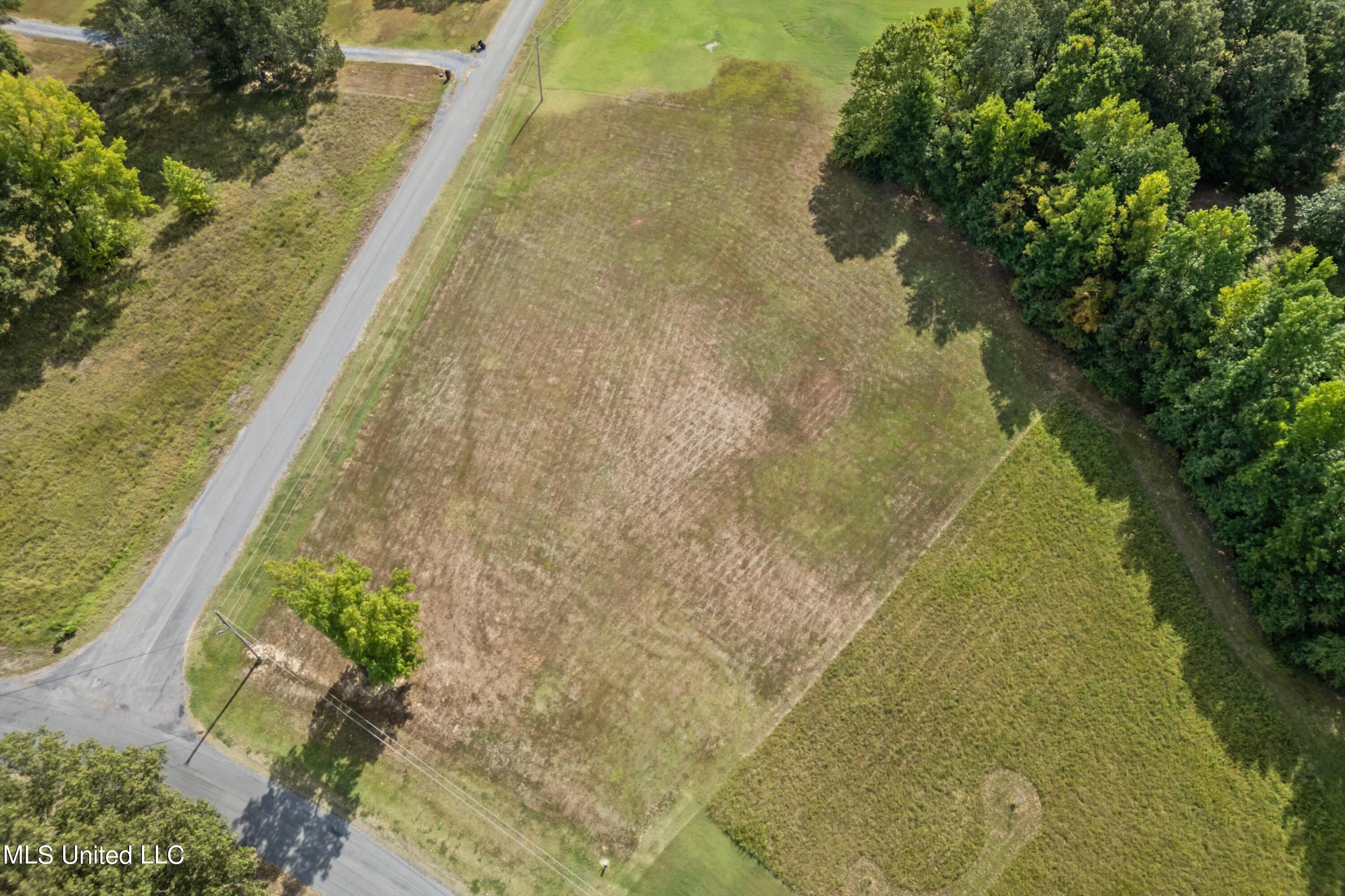 0 Carmin Cove Coldwater, MS 38618 - Photo 2 of 4 04-Carmin Cv-4