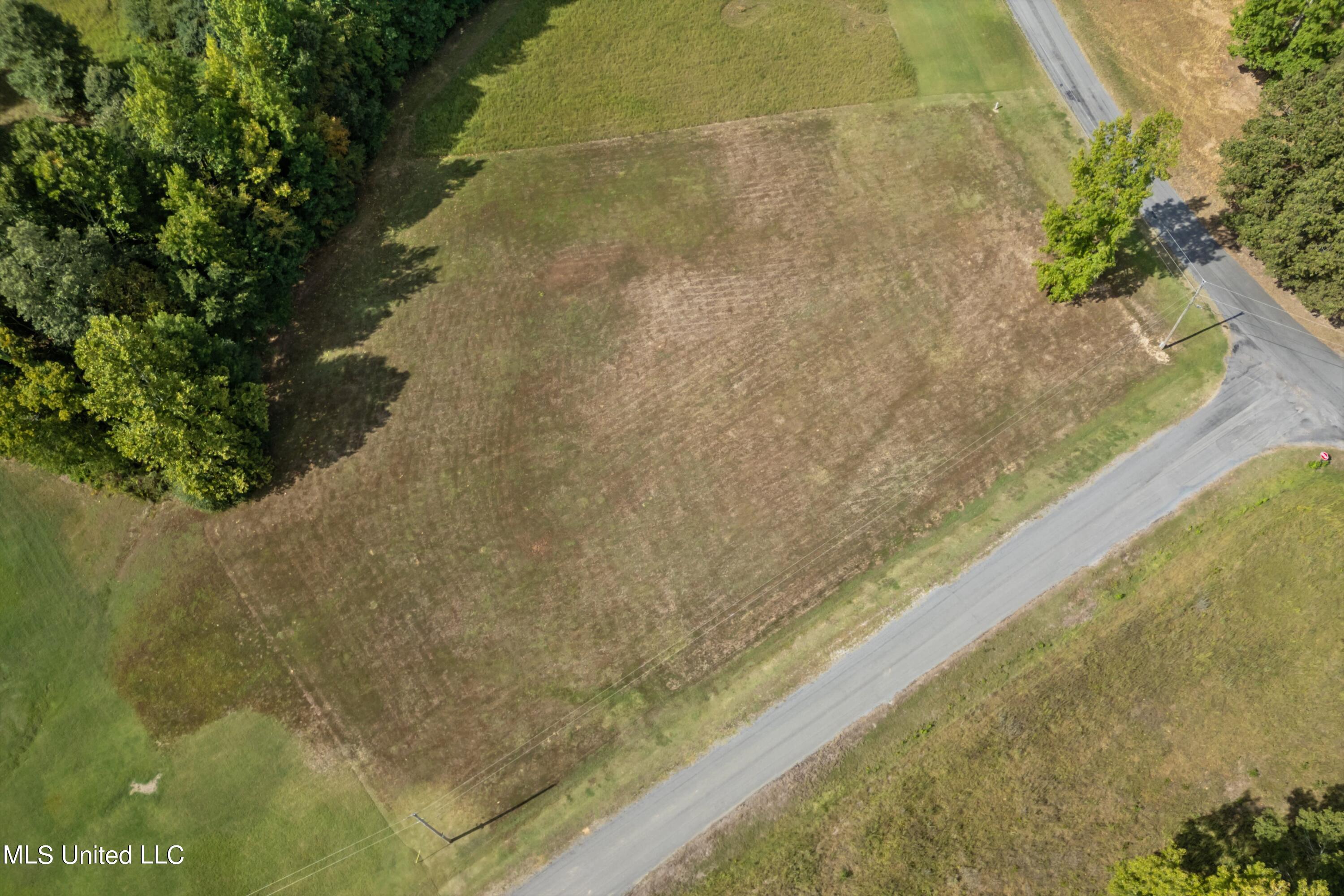 0 Carmin Cove Coldwater, MS 38618 - Photo 3 of 4 09-Carmin Cv-9