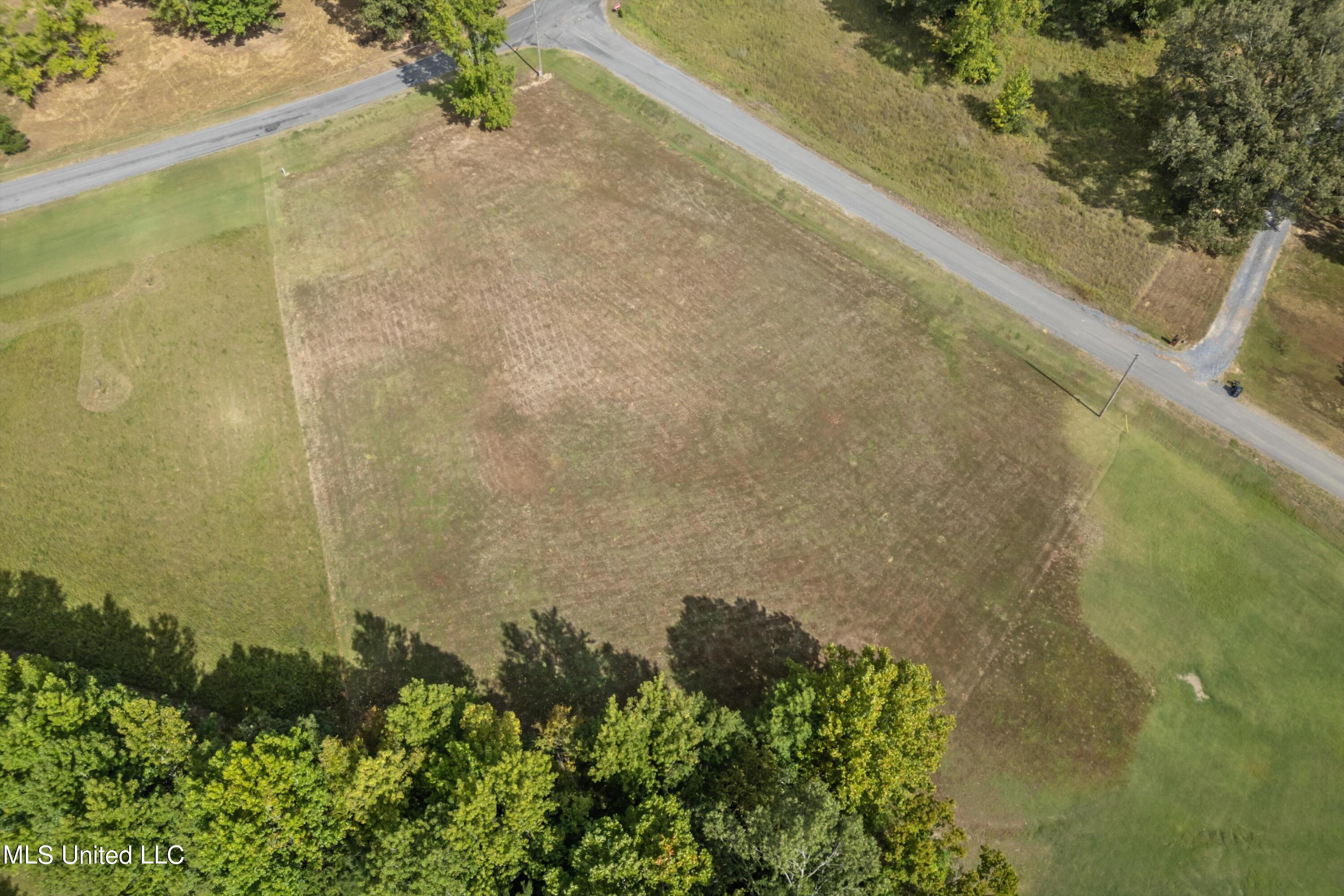 0 Carmin Cove Coldwater, MS 38618 - Photo 4 of 4 15-Carmin Cv-15