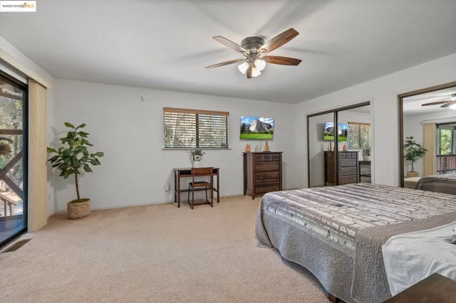 a living room with furniture and potted plants
