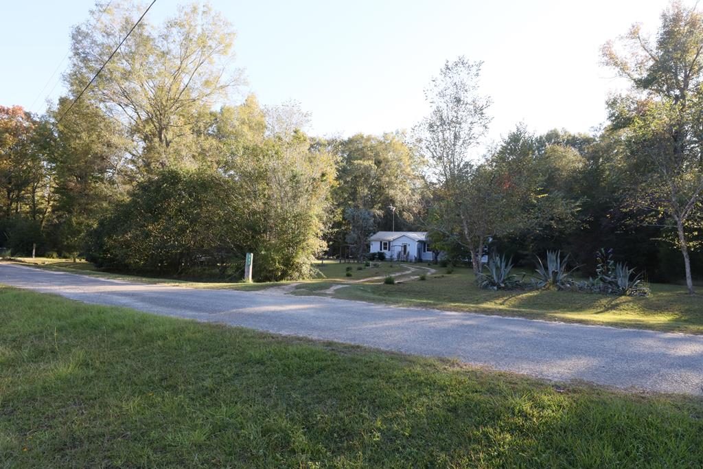 380 Timber Lane Abbeville, AL 36310 - Photo 6 of 88