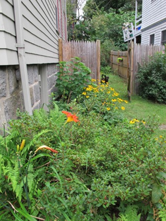 37 Peter Parley Road, Unit 1 Boston, MA 02130 - Photo 11 of 16 Gallery Image 11